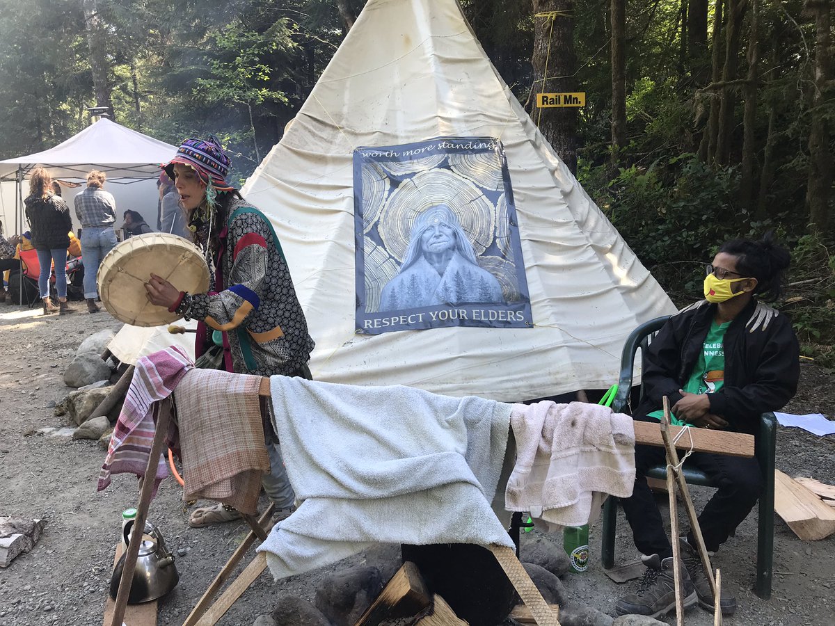 meganTcbc's tweet photo. No arrests today at blockades against old-growth logging between Port Renfrew and Lake Cowichan. People at the HQ camp say they have no plans to leave despite about 50 arrests at other sites over the past week. https://t.co/K2nJNlZg6e