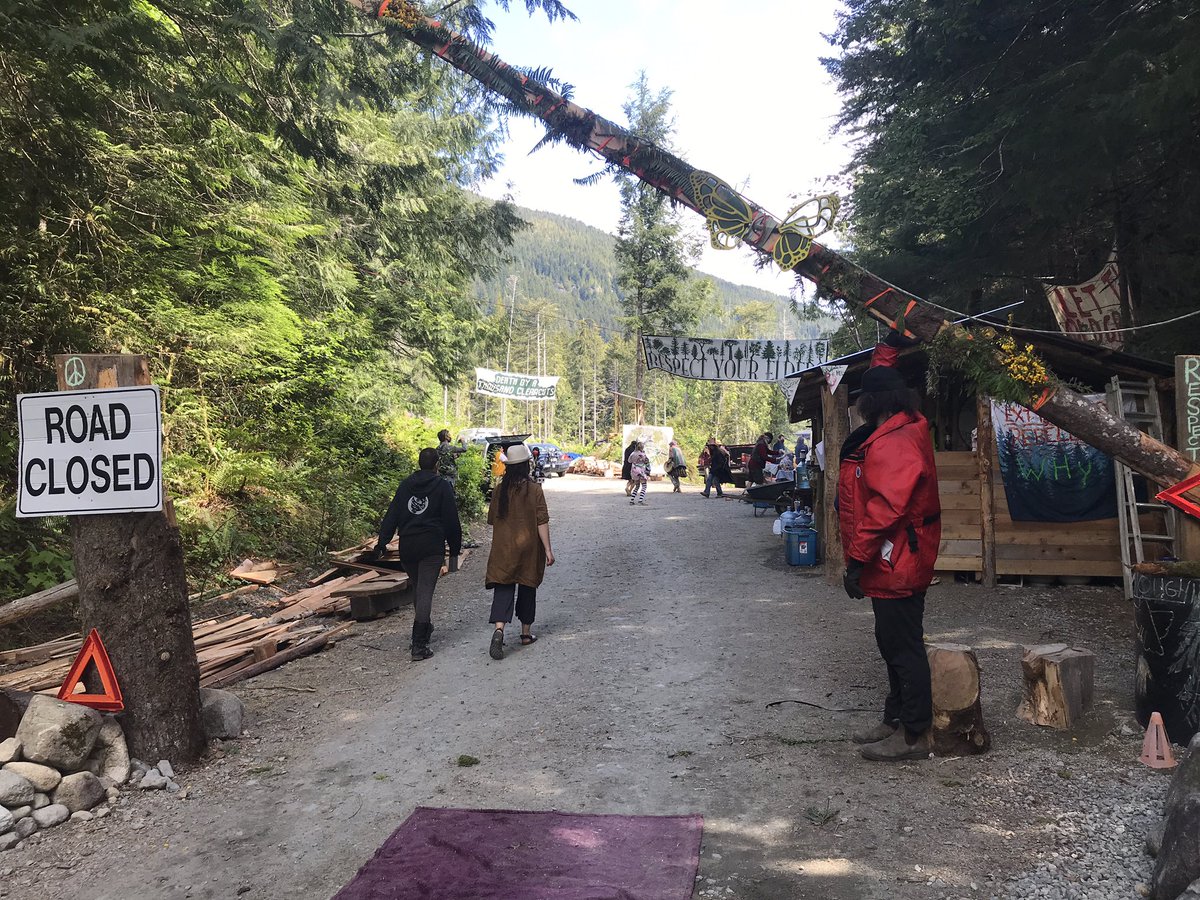 meganTcbc's tweet photo. No arrests today at blockades against old-growth logging between Port Renfrew and Lake Cowichan. People at the HQ camp say they have no plans to leave despite about 50 arrests at other sites over the past week. https://t.co/K2nJNlZg6e