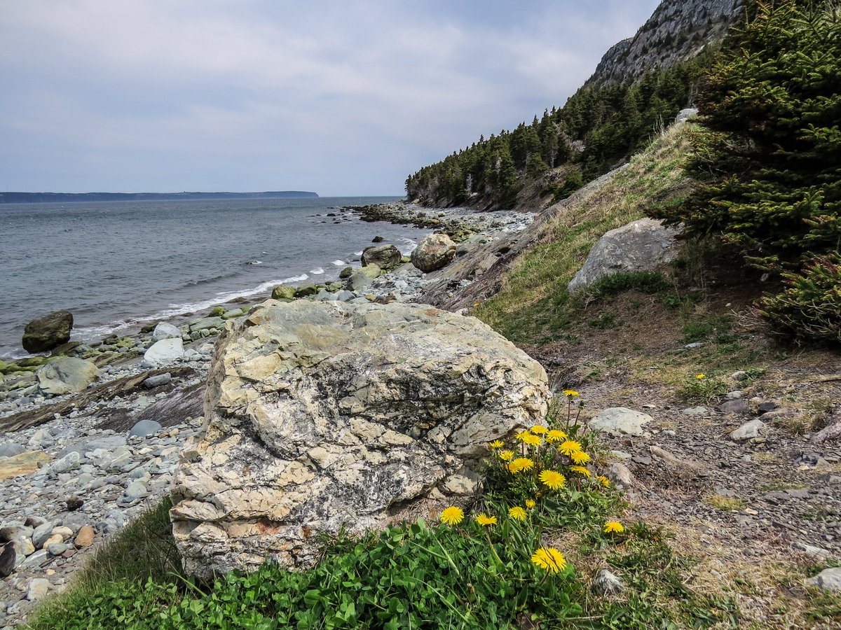 Topsail Beach
#NewfoundlandandLabrador #Canada #May24weekend #ExploreNL