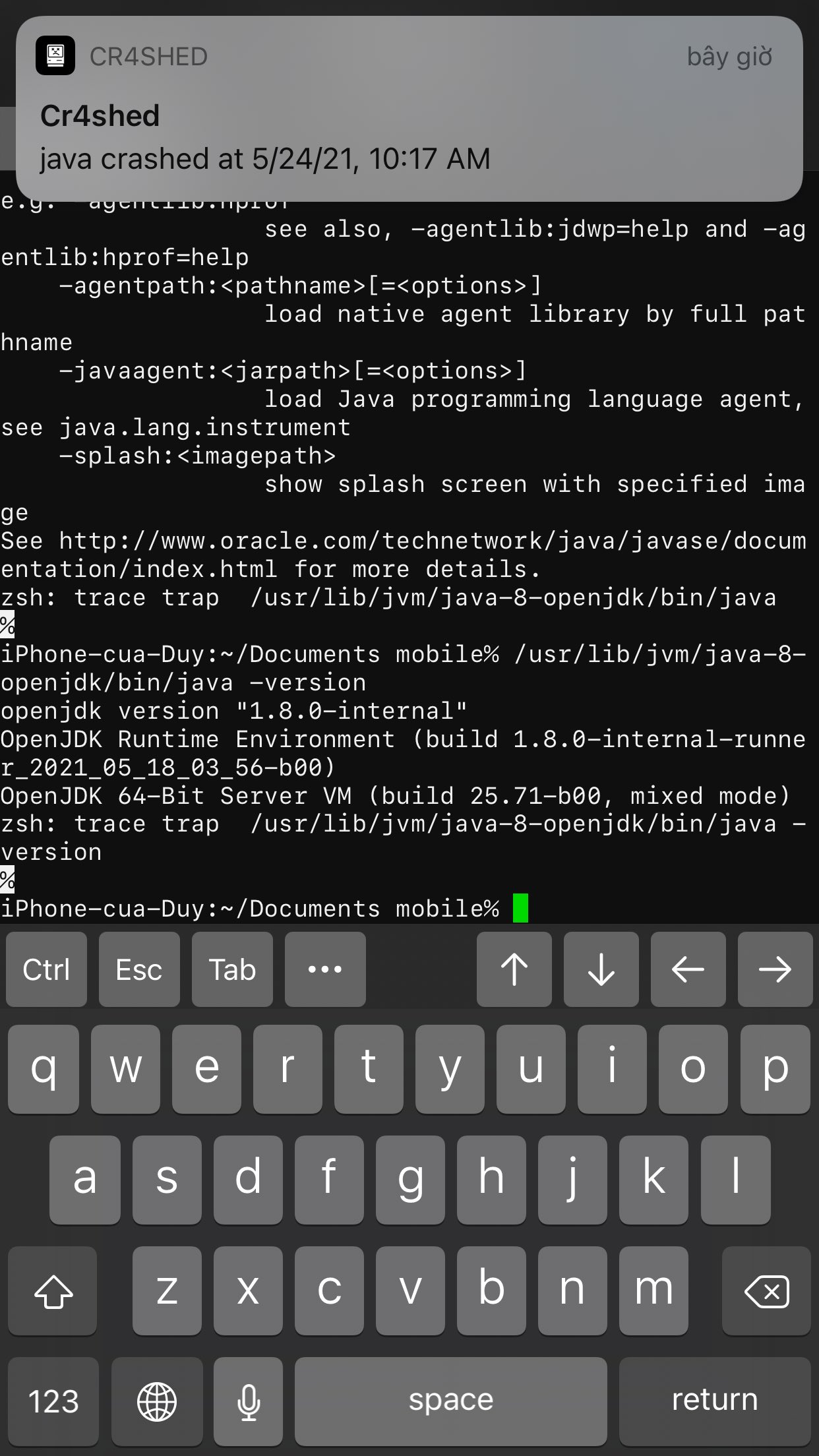 تويتر Pojavlauncher على تويتر That Moment Where You Re Porting Java 8 To Ios Just Weeks After Mojang Announces The Move To Java 16