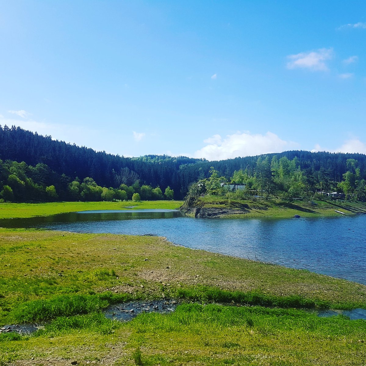 InspirationWald (@inspirationwald) on Twitter photo 