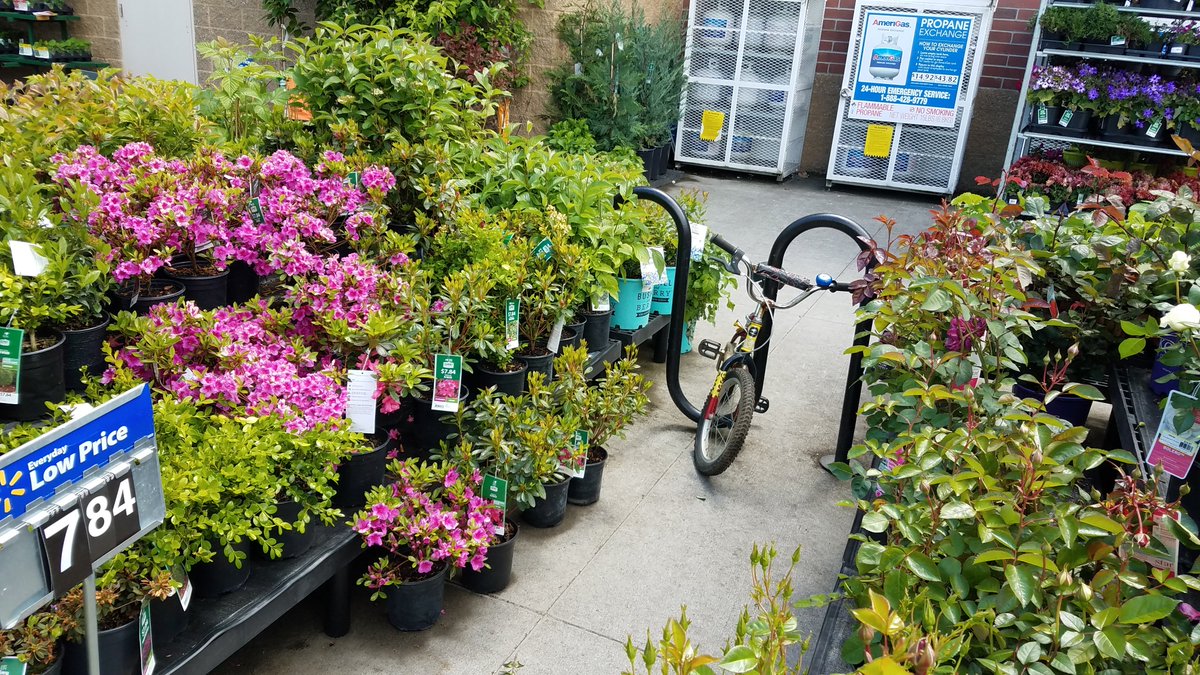 RescueEwe's tweet photo. Just passing by the other day. All bike racks blocked with carts or plants as usual. 👎🏽 @Walmart Tigard https://t.co/f4n9fehkS6