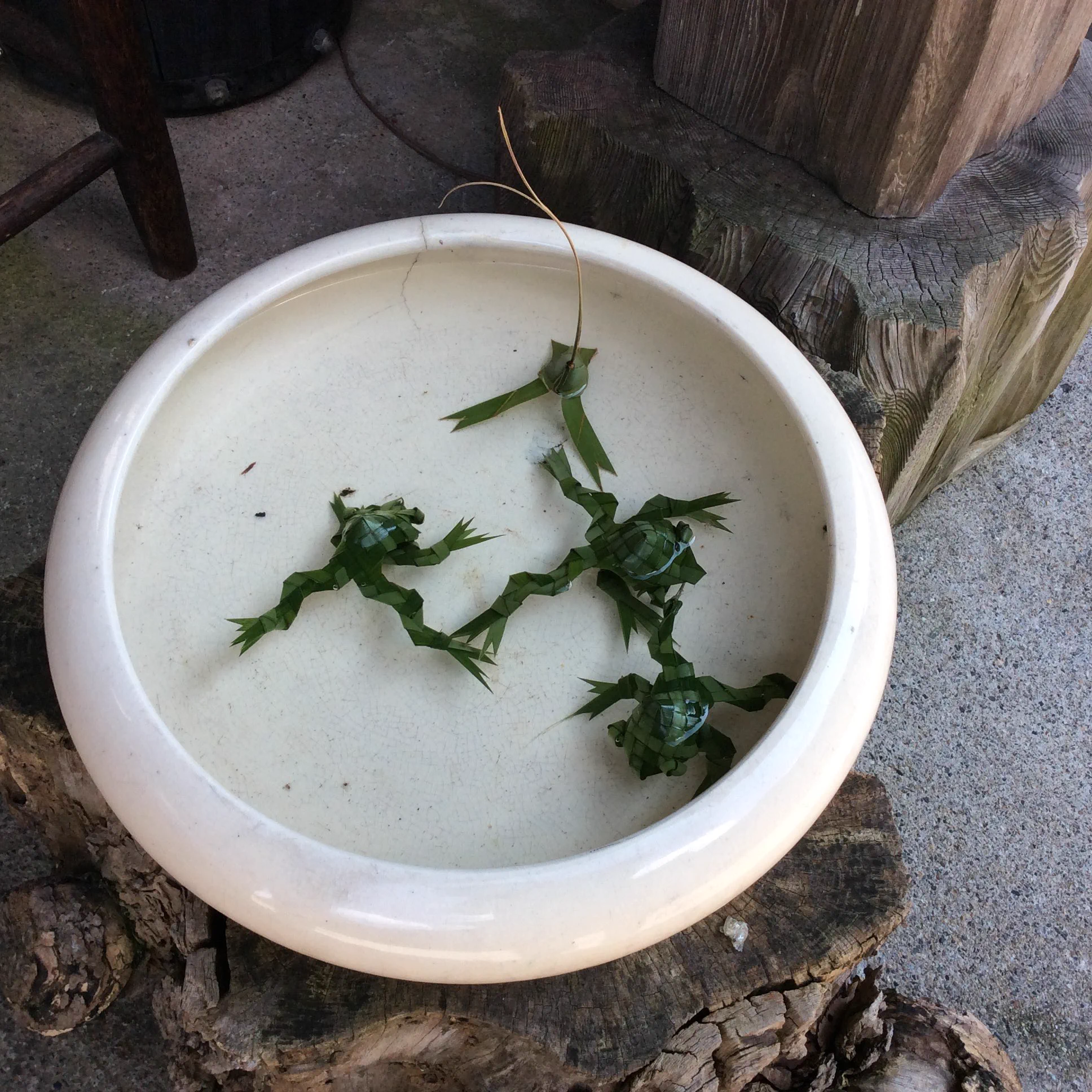 @H_tamakoshi カエルやトンボもありまっせー🐸 