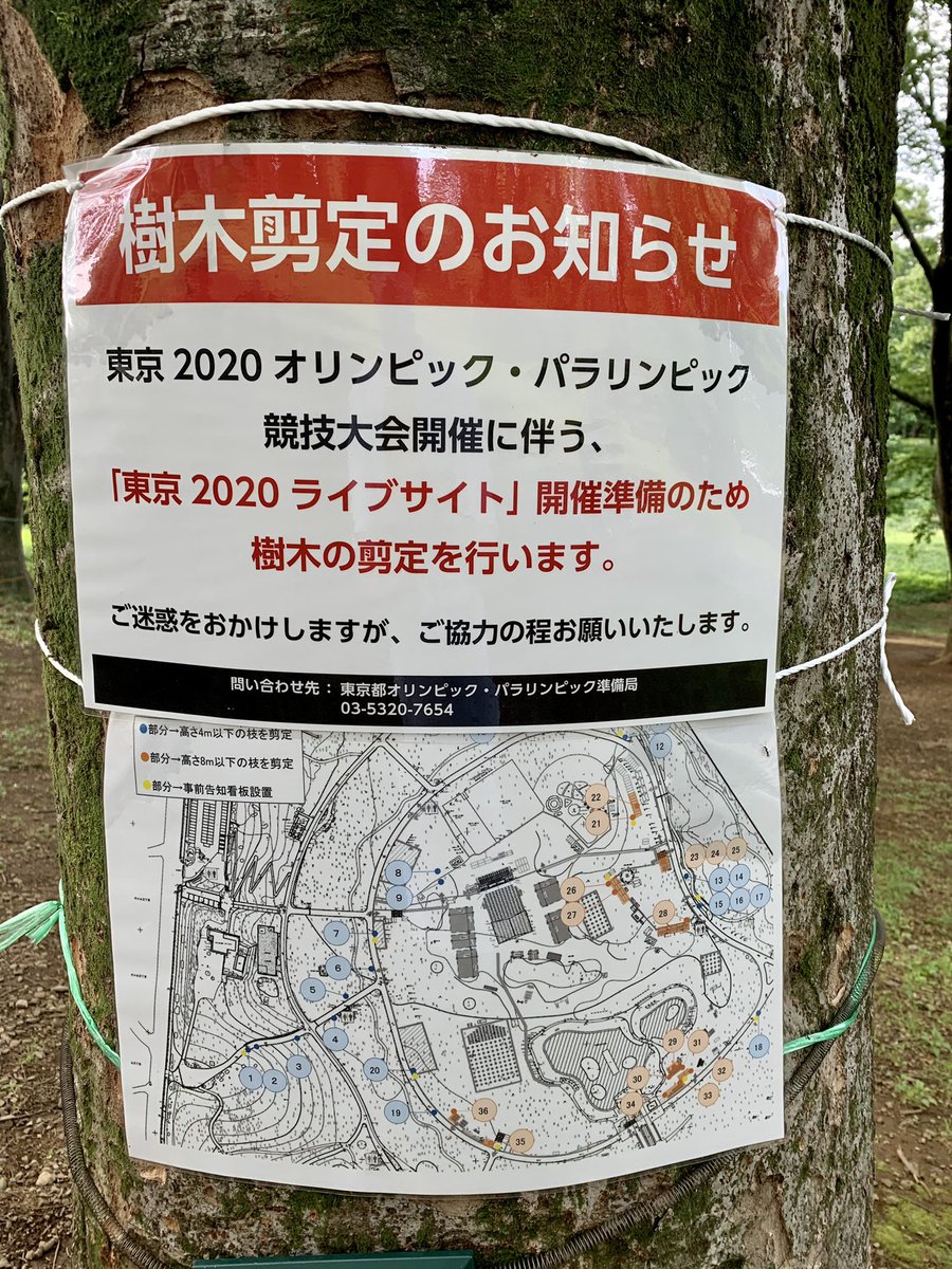 小池アミイゴ 子供たちのワークショップで代々木公園使った時 樹木に掲示物巻きつけるのは 樹木保護のため絶対禁止 って 東京都の 公園管理事務所からキツく言われたのだがー 小池アミイゴ 子供たちのワークショップで代々木公園使った時 樹木に掲示物巻きつけるのは 樹木保護のため絶対禁止 って 東京都の 公園管理事務所からキツく言われたのだがー