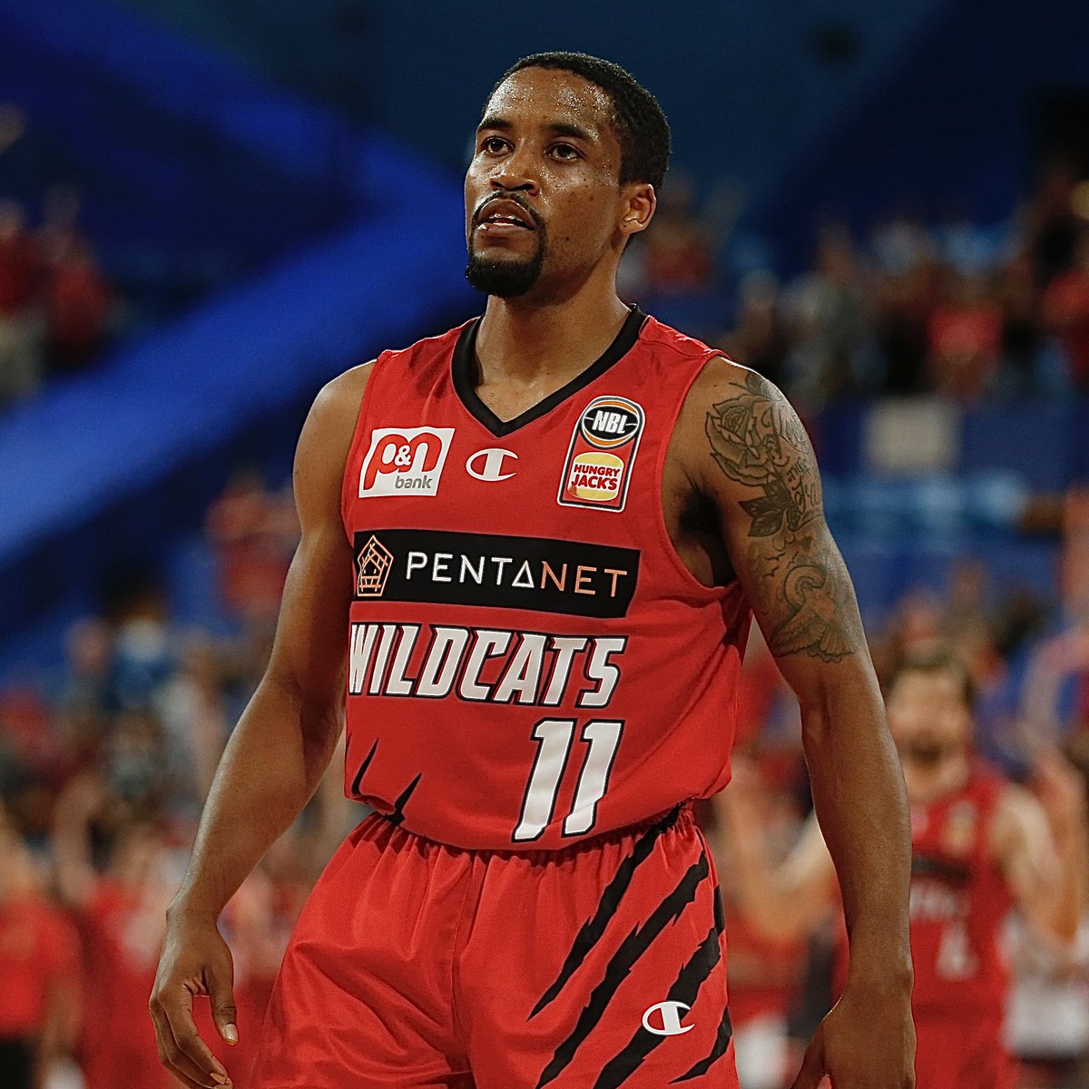 PerthWildcats's tweet photo. Bryce Cotton has been ruled out for the remainder of the regular season. 🤕

Full details: https://t.co/eWTQ7rvcs2 https://t.co/FEmZkWELr7