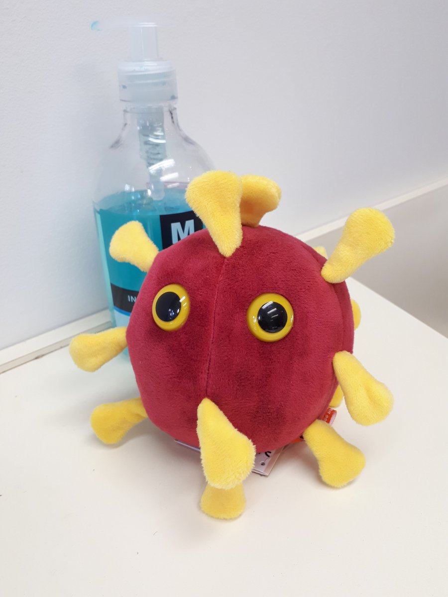 MnChamoun's tweet photo. Meet #COVID Carol, our little mascot we got for the lab. #COVID19 #PCRTests #SARSCoV2 #giantmicrobes https://t.co/WpYXxP5biH