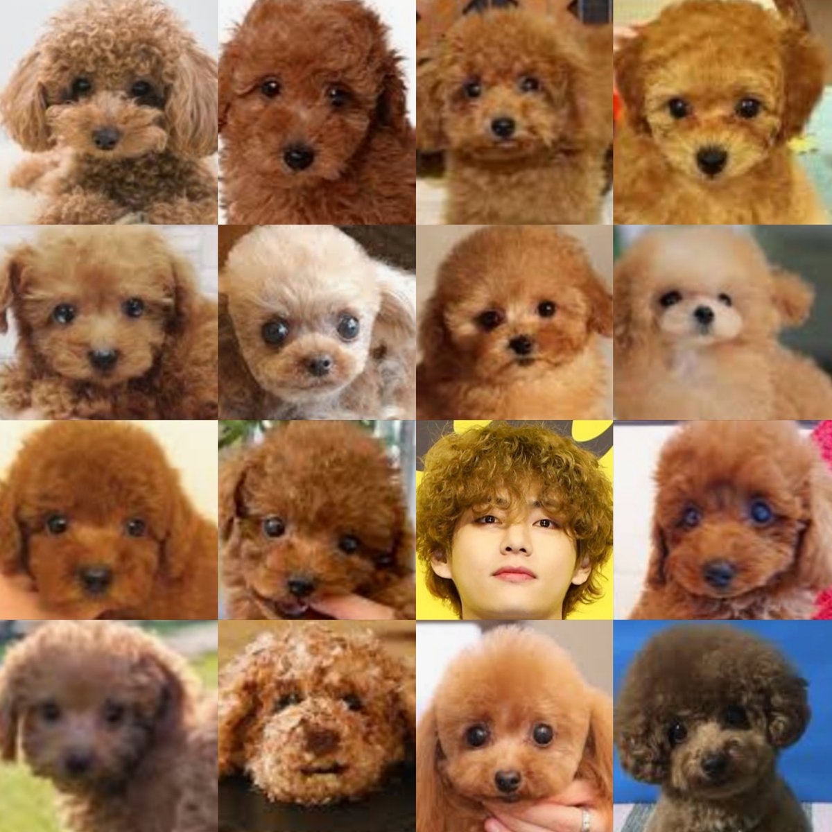 괜찮아 자연스러웟어