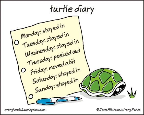 Now, this is my kind of a Monday!
Happy #worldturtleday2021 😊
