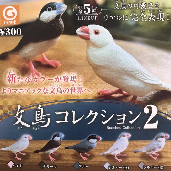 文鳥 高画質 のtwitterイラスト検索結果 古い順 文鳥 高画質 のtwitterイラスト検索結果 古い順