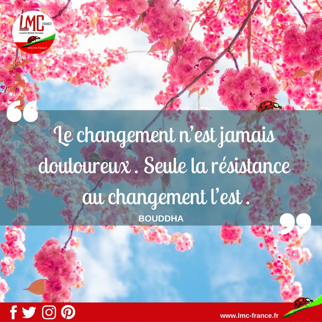 Lmc France La Resistance Rend Le Changement Plus Douloureux Le Mieux Est De Lacher Prise Belle Semaine A Tous Lmc Leucemie Lmcfrance Citation Bouddha Changement Lacherprise T Co P5srskangn Twitter