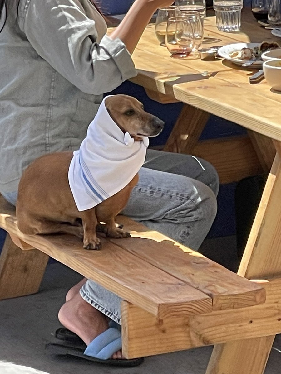 shortyoungson's tweet image. short story