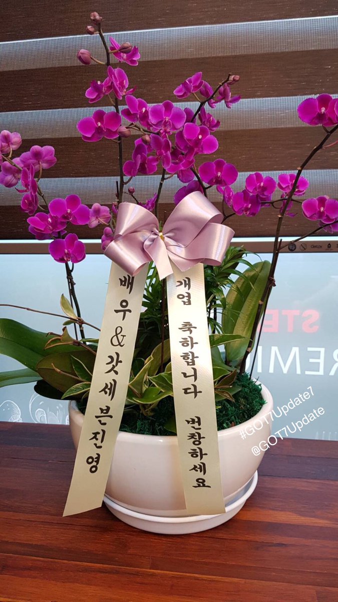 GOT7Update7's tweet photo. 💚วันนี้ส่งตัวแทนเพจไปร้านออมม่ายูคยอมที่นัมยางจู ทางเพจให้ตัวแทนสั่งอาหาร20กล่องเพื่อซัพพอร์ทพนักงาน H1GHR และ AOMG มีต้นไม้ของจินยองและแจบอมมาแสดงความยินดีด้วยค่ะ
📌ร้านเปิดเป็นทางการเดือนหน้านะคะ📌
#Yugyeom #GOT7 #JAYB 
อ่านเต็ม👉https://t.co/JEfopC52Wd… https://t.co/mRUkXqZAuY