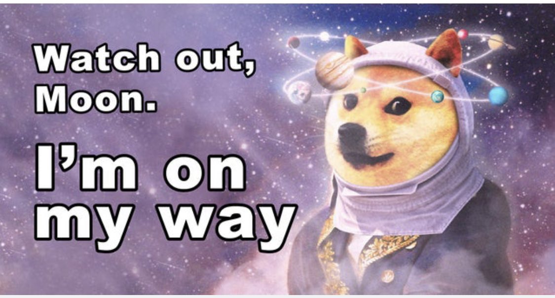 ALL_AQW's tweet photo. @elonmusk LEGOOO!  #dogecoin #DogeCoinTo1Dollar #doge #crptocurrency https://t.co/IjwLf7XYkb