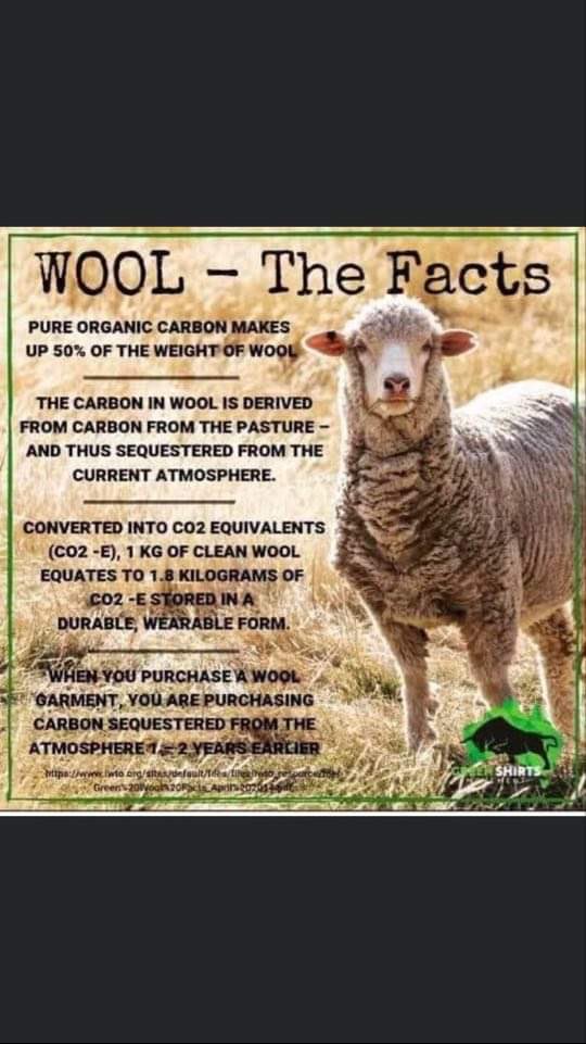 Gareth Wyn Jones (@1garethwynjones) on Twitter photo This is Why we should be utilising wool in every way we can . This is Why we should be utilising wool in every way we can .