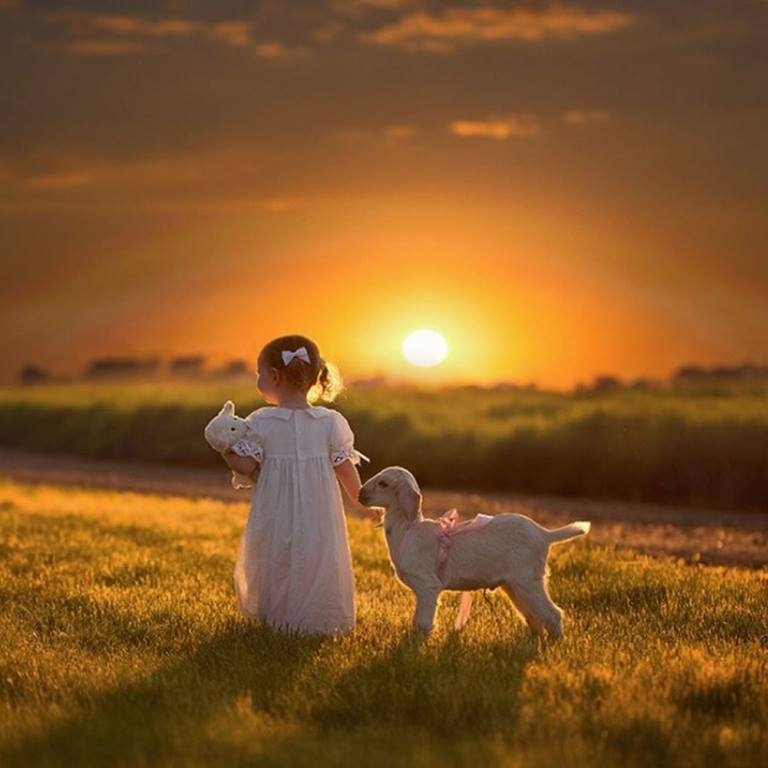 Justice_Seeker5's tweet photo. Life is a journey to be experienced, not a problem to be solved. https://t.co/fe49eBGRkN
