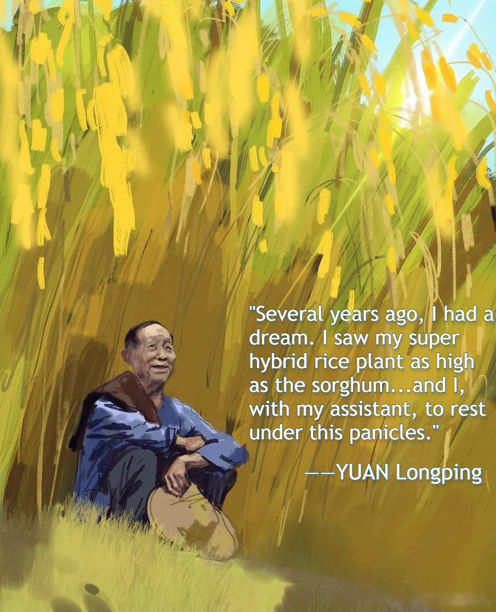 Deepest condolences to 🌾#YuanLongping 🕯 Your name will be engraved on the vast field and printed on the hearts of the people🌠
