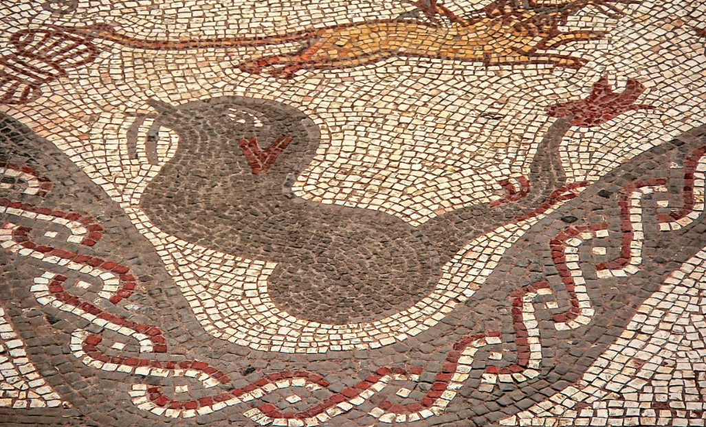 romanpalace's tweet photo. We're starting to suspect that no Roman actually ever saw a living dolphin. 

#MosaicMonday https://t.co/z2nOWBr0Vu