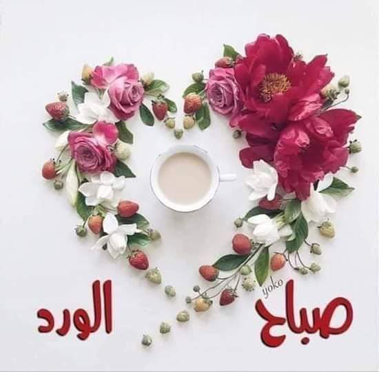 صباح الخير ..صباح الحب.. صباح السعاده 
صباحكم جميل ماجمال اروحكم ..