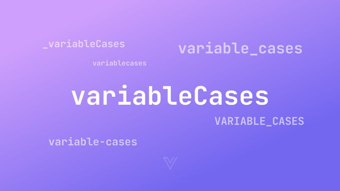 A Guide to Variable Naming Conventions — Vasanth Developer
