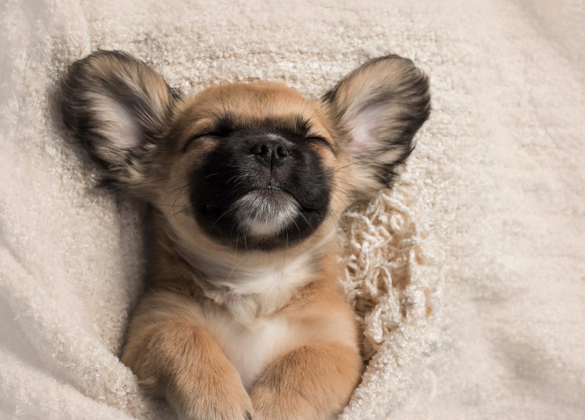 NVC Security tweet media