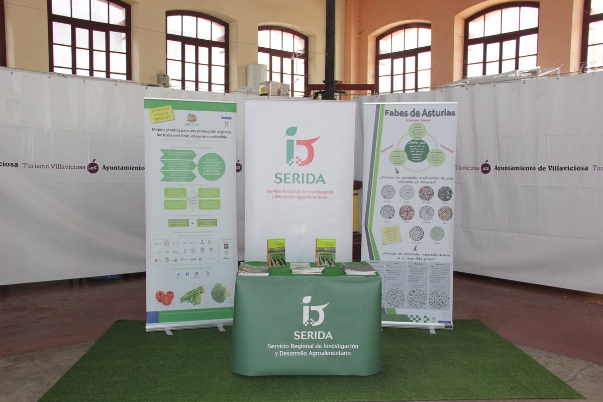 SeridaAst's tweet photo. El #SERIDA participó este fin de semana en les #xornaesfabes de #Villavicosa con un stand en el mercado de primavera que se ubicó en la Plaza de abastos y que tuvo gran afluencia de público, respetándose en todo momento las medias anti COVID. https://t.co/oV8SaQXxHF