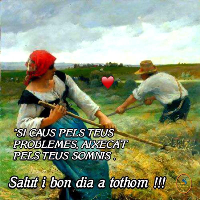 Sí sí...el que vulguis...però cap a aplanar el llom toca! BON DIA! 💪🥰