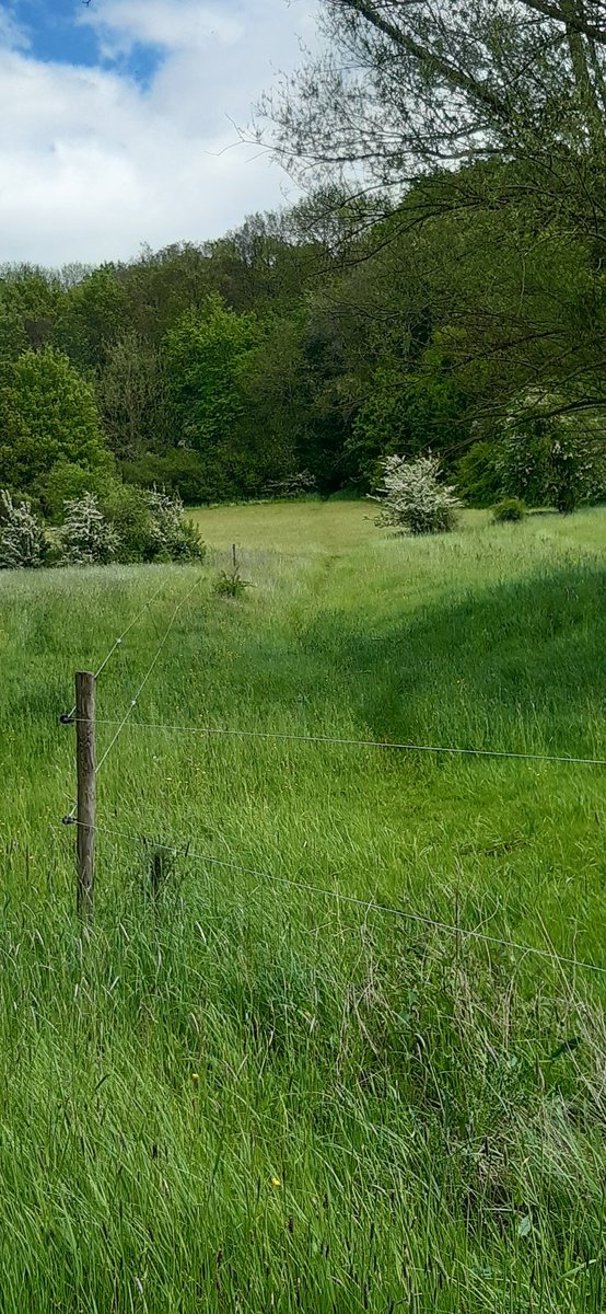 Adfiafiers's tweet photo. Rondje #Slenaken #gulpdal is geweldig mooi en rijk aan bijzondere natuur @ZLimburg wel druk. Allemaal genieten https://t.co/YGTHbrwT1G