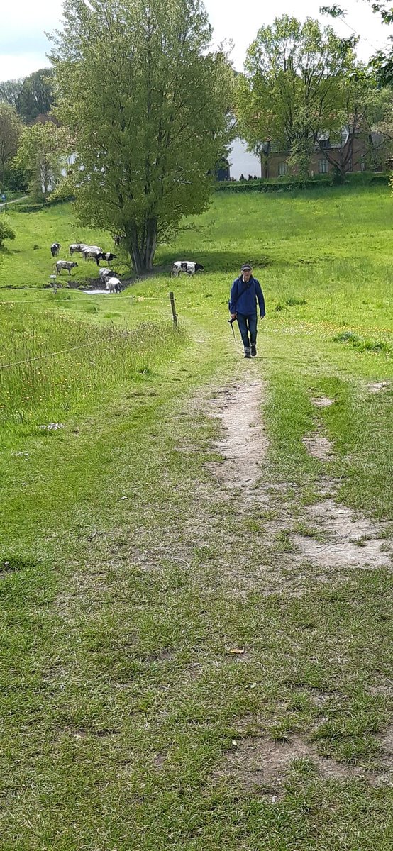 Adfiafiers's tweet photo. Rondje #Slenaken #gulpdal is geweldig mooi en rijk aan bijzondere natuur @ZLimburg wel druk. Allemaal genieten https://t.co/YGTHbrwT1G