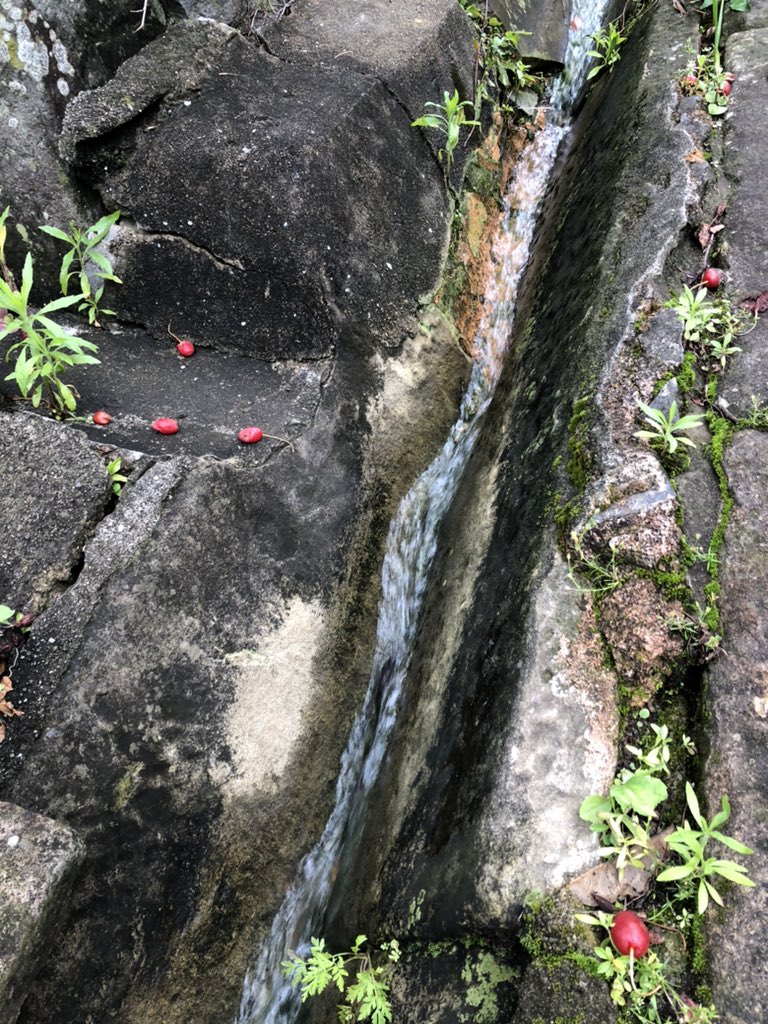 nbc_radio's tweet photo. 【SKPさな】
長崎市南山手町にある『ドンドン坂』の脇にある溝はU字型・V字型・四角型と坂を下ると形を変えています😊
今日は雨上がりということで音の違いを中継しました✨
ドンドン坂の周りはレンガや煙突がある洋館や居留地の石碑など昔の風景が残っています🌸
#なうNBCラジオ 
#nbcrd https://t.co/cyDF5bs1it