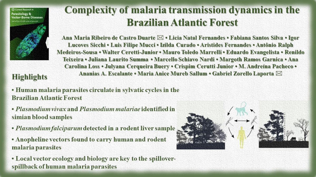 Now in press in Current Research in Parasitology &amp; Vector-Borne Diseases <a href="/crpvbd/">CR in Parasitology & Vector-Borne Diseases</a>
journals.elsevier.com/current-resear…
<a href="/Mandeina16/">M  Andreina Pacheco</a> <a href="/julyanabuery/">🌝</a> <a href="/imtspusp/">IMTSP-FM USP</a> <a href="/loss_carol/">Ana Loss</a> <a href="/GabrielZorello/">Gabriel Zorello Laporta</a>
#Anopheles #Malaria #Plasmodium spp.