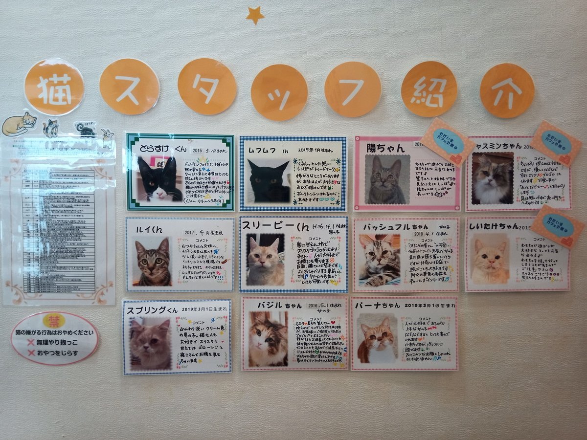 猫同好会 はこぶねこ八王子店に行ってきました T Co Wnn5klni8m 八王子みなみ野 駅の改札を出て左手ビルの2階 猫の譲渡も行っている保護猫カフェです コロナ禍のせいか完全予約 貸し切り制でした モフモフな猫が一番甘えん坊で おやつタイム 猫同好会 はこぶねこ八王子店に行ってきました T Co Wnn5klni8m 八王子みなみ野 駅の改札を出て左手ビルの2階 猫の譲渡も行っている保護猫カフェです コロナ禍のせいか完全予約 貸し切り制でした モフモフな猫が一番甘えん坊で おやつタイム