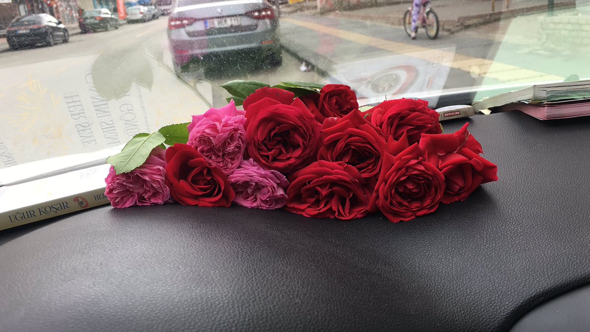 Ölecekmiyim tamda söyleyecek çagımda söylenmemiş Cümlemin hasreti dudağımda...🍁🍂