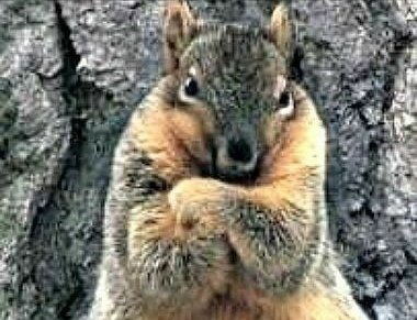 I don't like Mondays 🙁