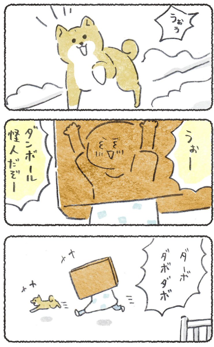 でっかいダンボールで
 た〜っぷり豆柴とあそぶ話!😂

URLからどうぞ↓
https://t.co/gvIFQJIGbW

(cakes会員さんでなくても5月25日.10時までは読めます)#豆しばこつぶ 