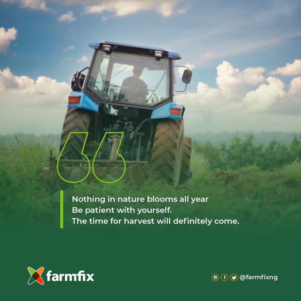 FarmFixng's tweet photo. Even in investment, patience is key and that’s our motivation for today.

#mondaythoughts #MondayMotivaton https://t.co/4jbwcKah9q