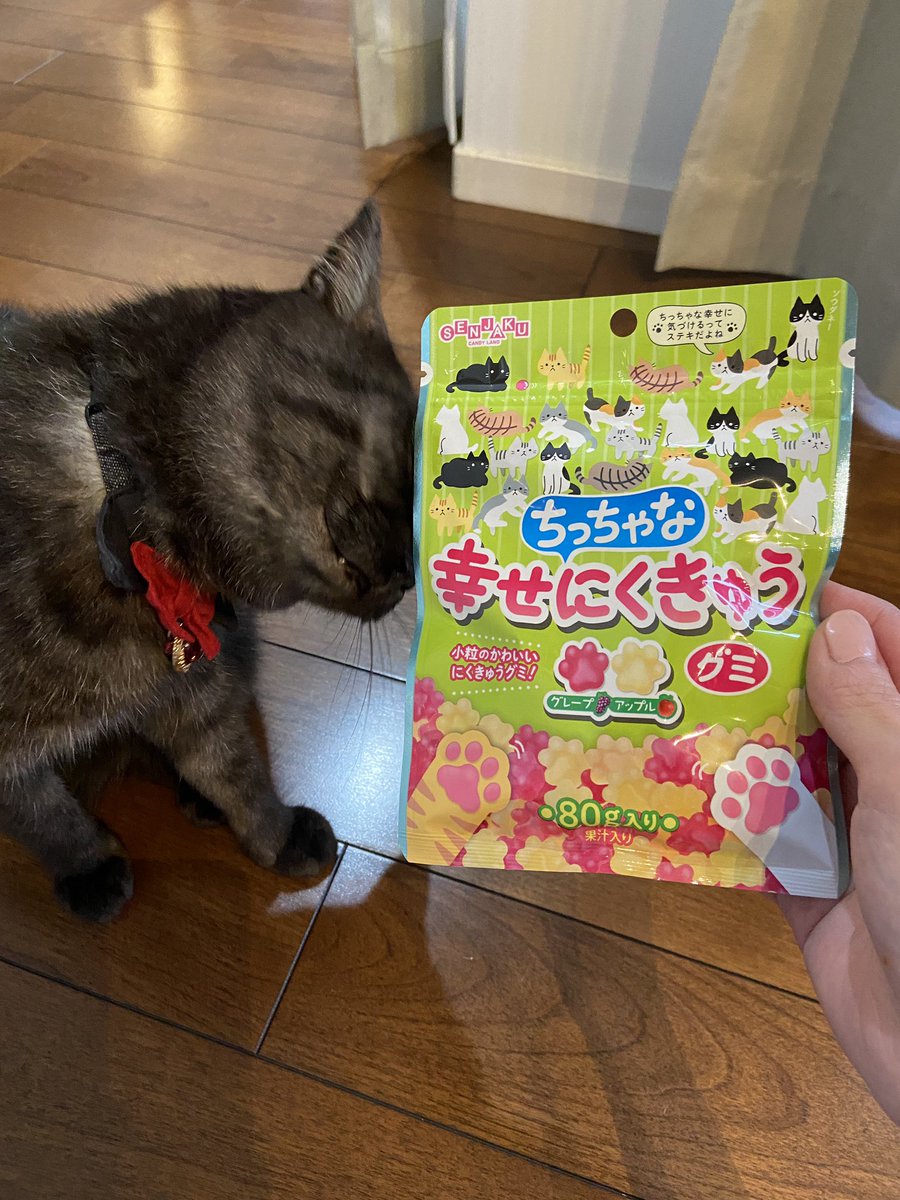 幸せにくきゅうグミ 幸せにくきゅうグミ