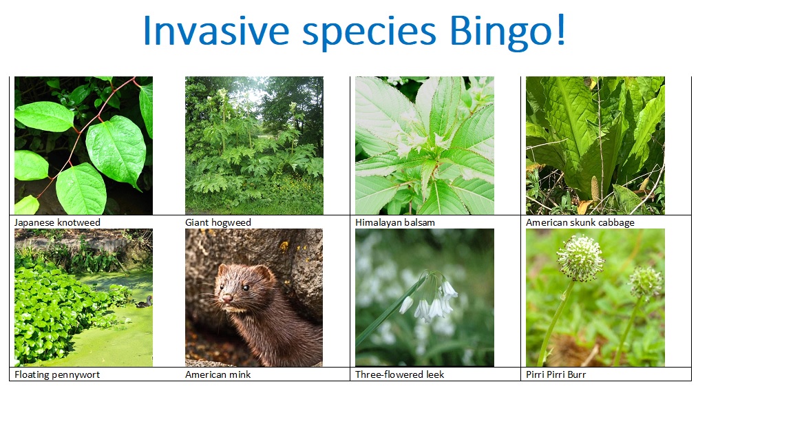 Tyne Rivers Trust (@tyneriverstrust) on Twitter photo Invasives bingo! See how many invasive species you can find and ID this week and send us your photos or tag us. If you need help with your ID, just send us a message. ow.ly/Htea50EQajY
<a href="/InvasiveSp/">Invasive Species Week</a> #INNSweek Invasives bingo! See how many invasive species you can find and ID this week and send us your photos or tag us. If you need help with your ID, just send us a message. ow.ly/Htea50EQajY
<a href="/InvasiveSp/">Invasive Species Week</a> #INNSweek