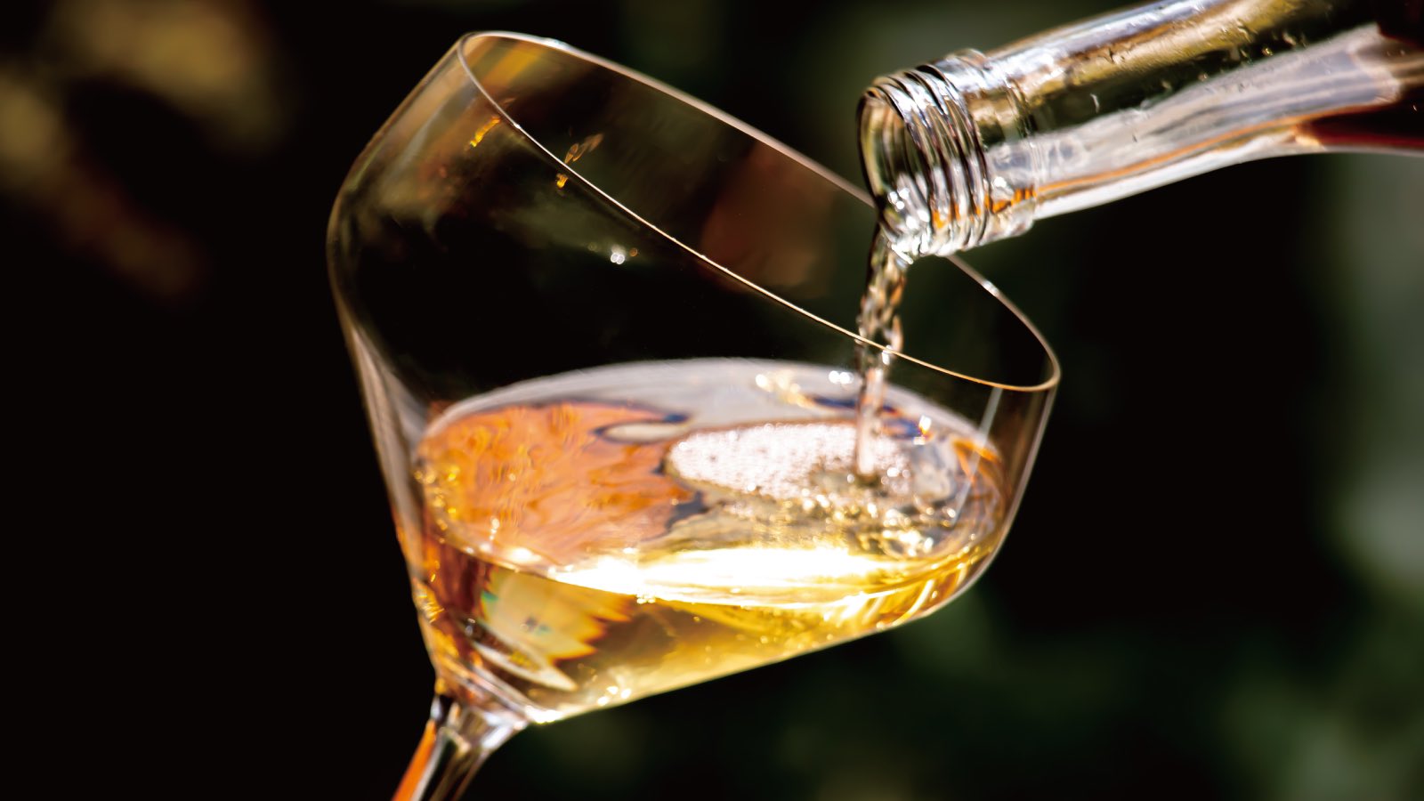 オークロック Twitter Search Twitter