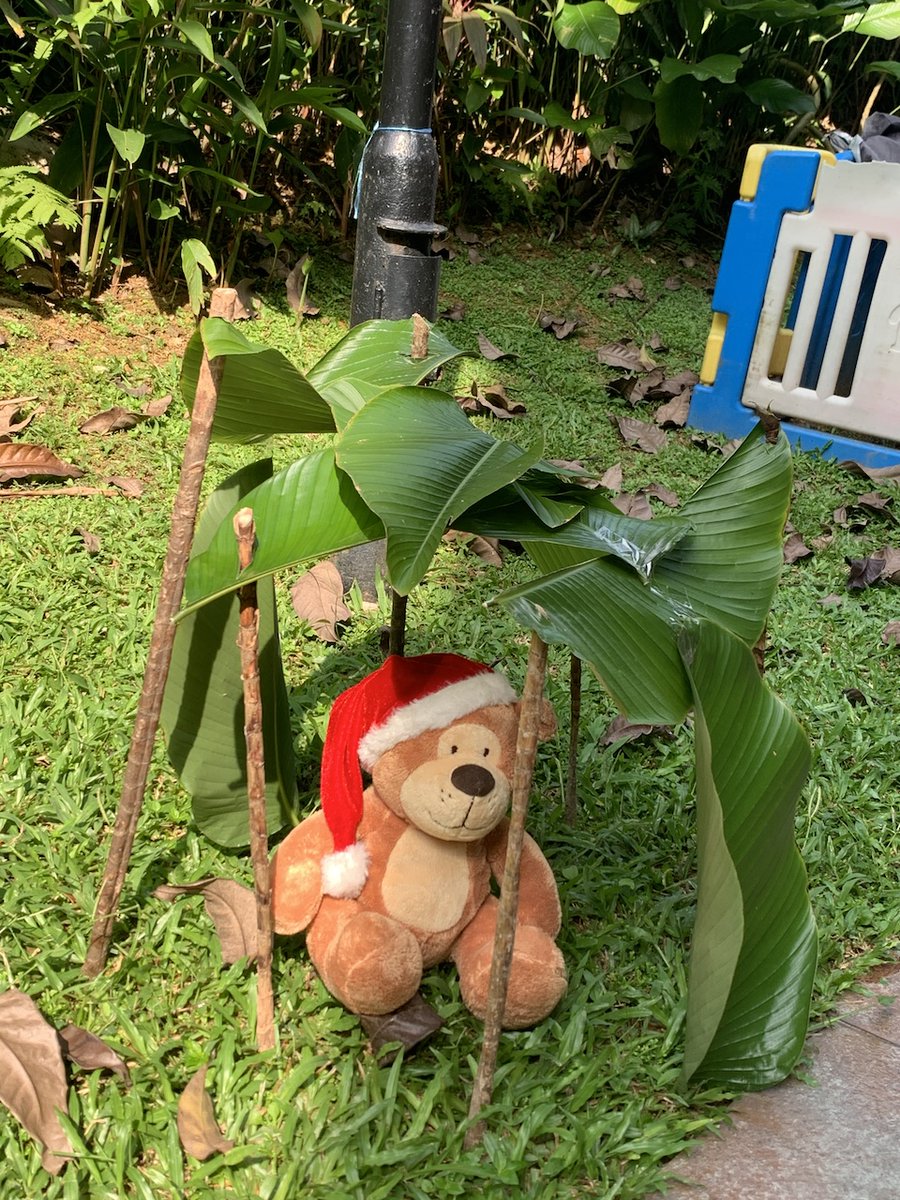 DCSG_Dulwich's tweet photo. With HBL happening, we have put in place weekly Micro Adventures for our students to do on their own! This week's challenge is to build a shelter made with natural materials, big enough to house a human or an intended animal. Take a look 🌴

#Sustainable #HBL #GraduateWorldwise https://t.co/0BF0ui6c3O