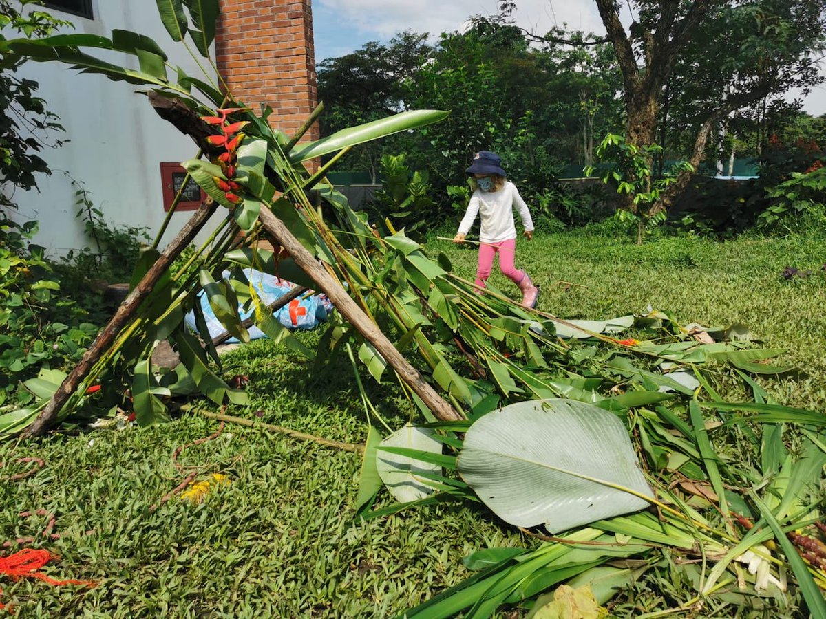 DCSG_Dulwich's tweet photo. With HBL happening, we have put in place weekly Micro Adventures for our students to do on their own! This week's challenge is to build a shelter made with natural materials, big enough to house a human or an intended animal. Take a look 🌴

#Sustainable #HBL #GraduateWorldwise https://t.co/0BF0ui6c3O