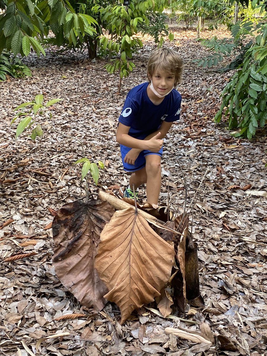 DCSG_Dulwich's tweet photo. With HBL happening, we have put in place weekly Micro Adventures for our students to do on their own! This week's challenge is to build a shelter made with natural materials, big enough to house a human or an intended animal. Take a look 🌴

#Sustainable #HBL #GraduateWorldwise https://t.co/0BF0ui6c3O