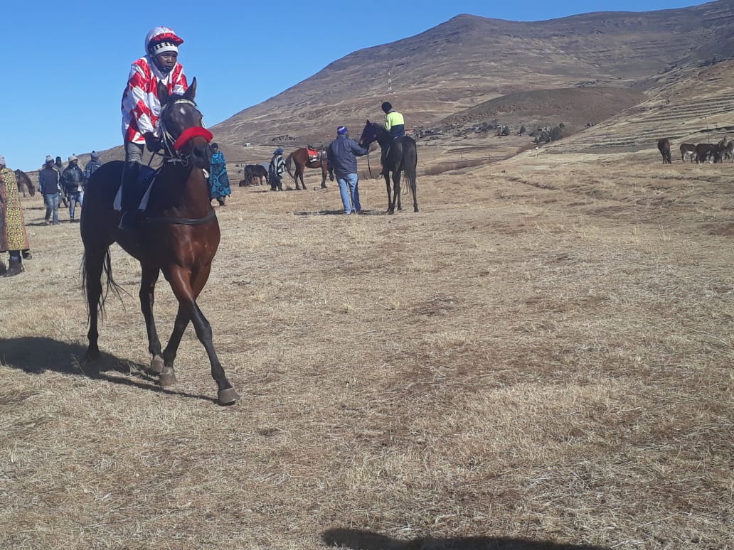 Semonkong Lodge (@semonkonglodge) on Twitter photo HORSE RACES: Basotho ponies got their time in the spotlight this weekend.
The Semonkong horse races took place on Saturday, as community gathered to cheer on their favourite horses...
Read more: facebook.com/16896949995087…
To book with us email:
Info@semonkonglodge.com
#travel HORSE RACES: Basotho ponies got their time in the spotlight this weekend.
The Semonkong horse races took place on Saturday, as community gathered to cheer on their favourite horses...
Read more: facebook.com/16896949995087…
To book with us email:
Info@semonkonglodge.com
#travel