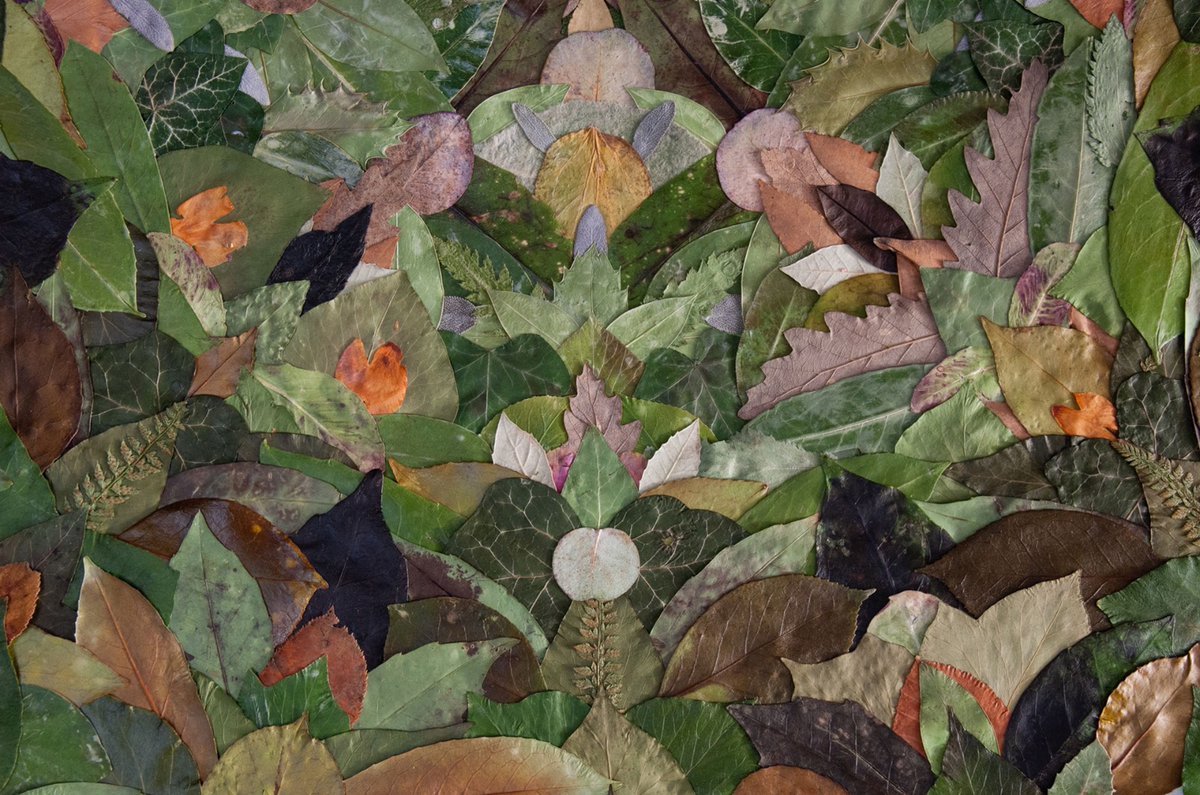 Bespoke Black Book tweet media