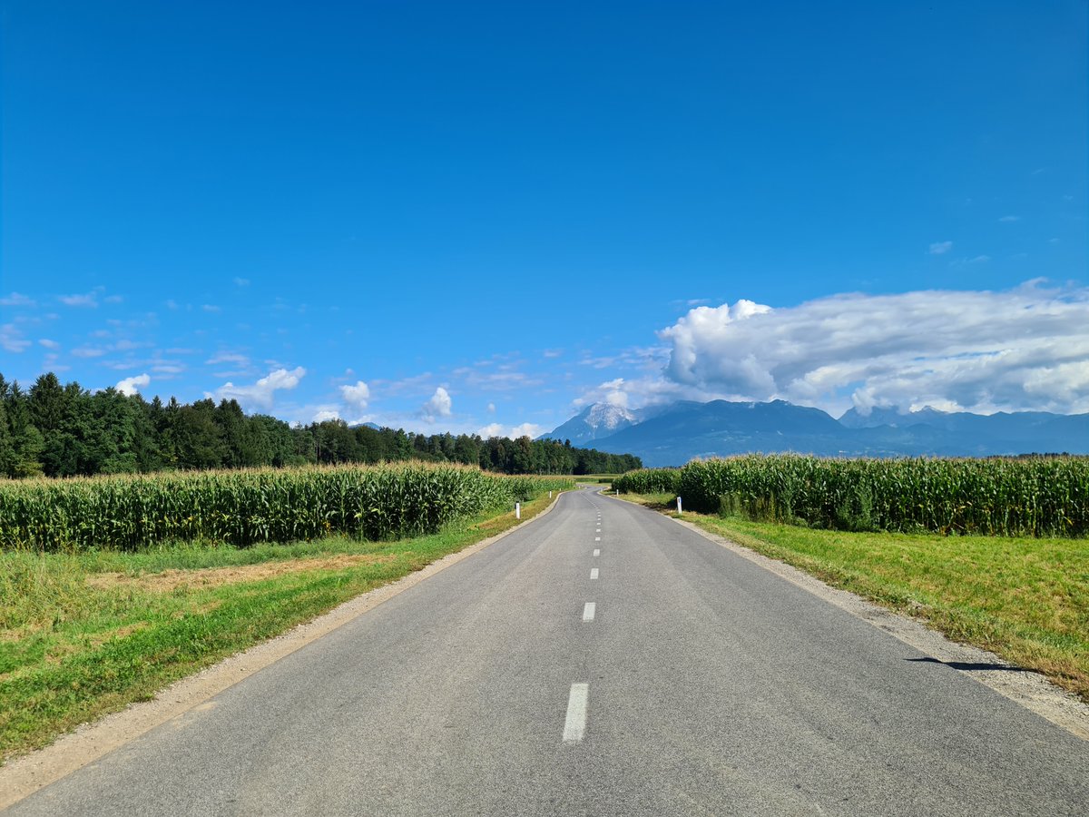 RADARprojectEU's tweet photo. New @RADARprojectEU event on the horizon! We are ready for the new Road Safety Expert Group meeting on the additional thematic area - Transport Safety and #COVID19. 
More here ➡️ https://t.co/NCXUyoRLXl https://t.co/cJxPnAC6yW