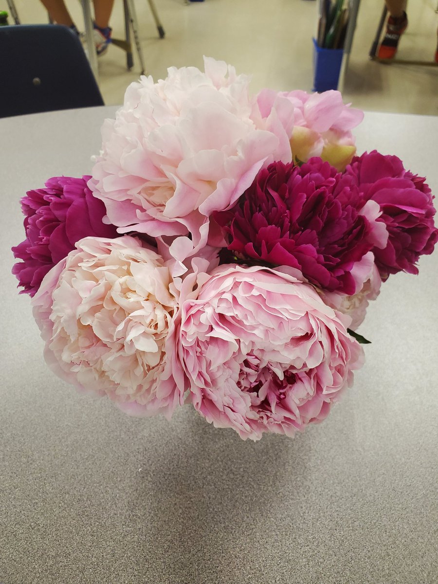 Mrs. Kavanagh's Class tweet media