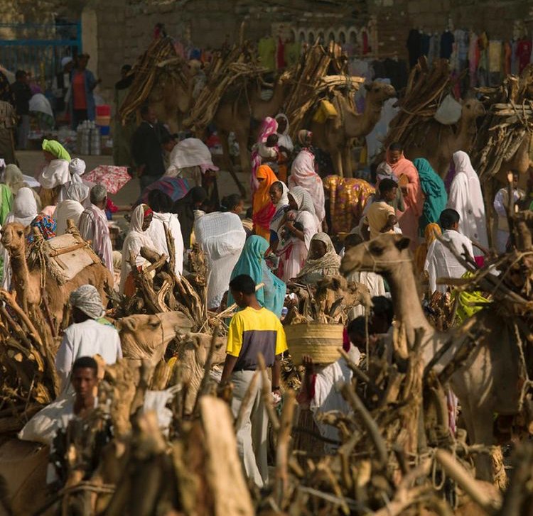 Happy Independence Day Eritrea! 
Today, we visit Eritrea through a major tourist attraction, The Keren Camel Market. 
One of Eritrea's largest cities, Keren, hosts the weekly Monday camel market which unites buyers, sellers, and tourists alike.