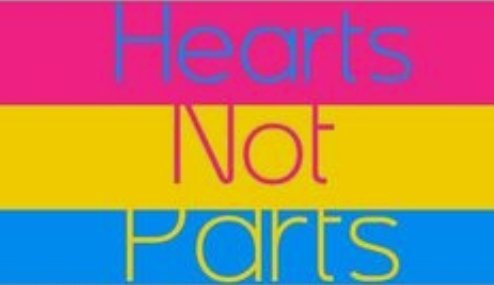 Trainbow_NL tweet media