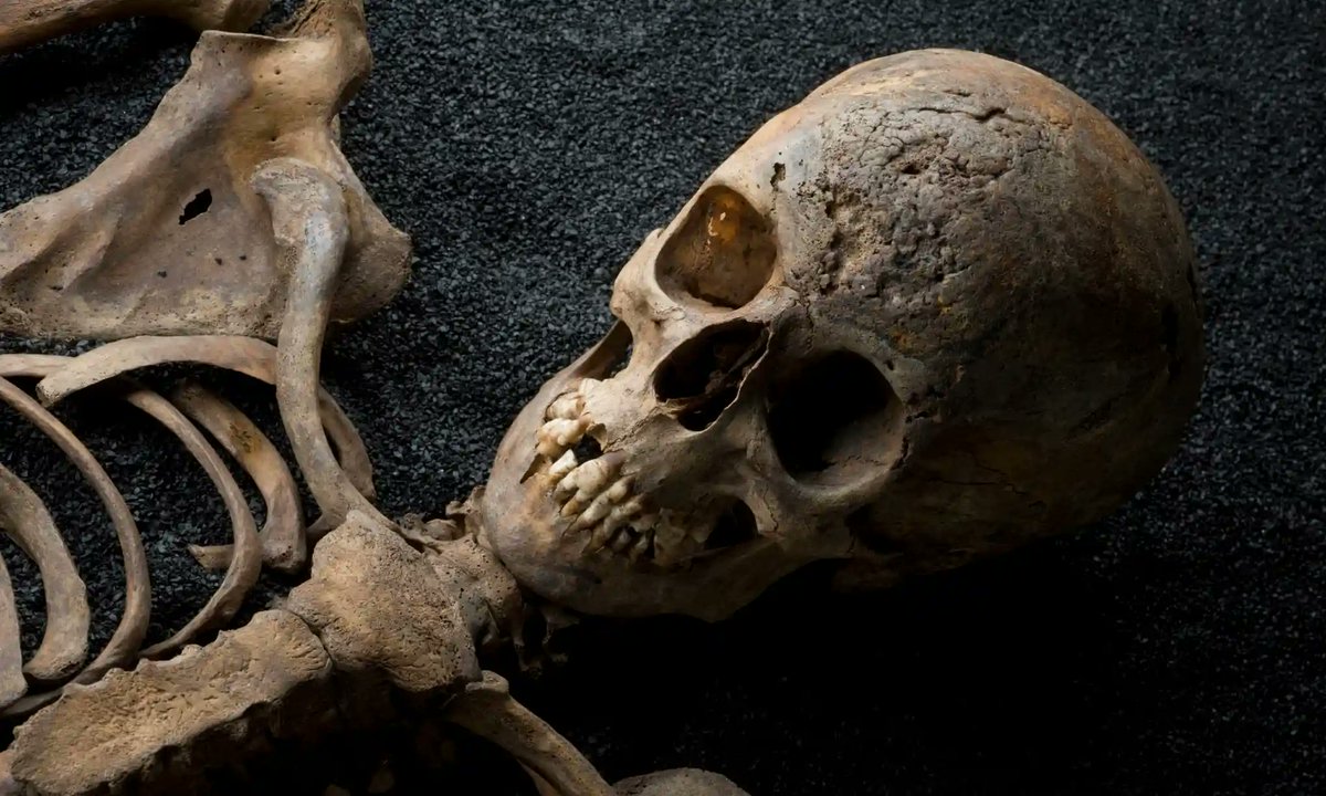 bonesforensic's tweet image. #bones #forensicanthropology