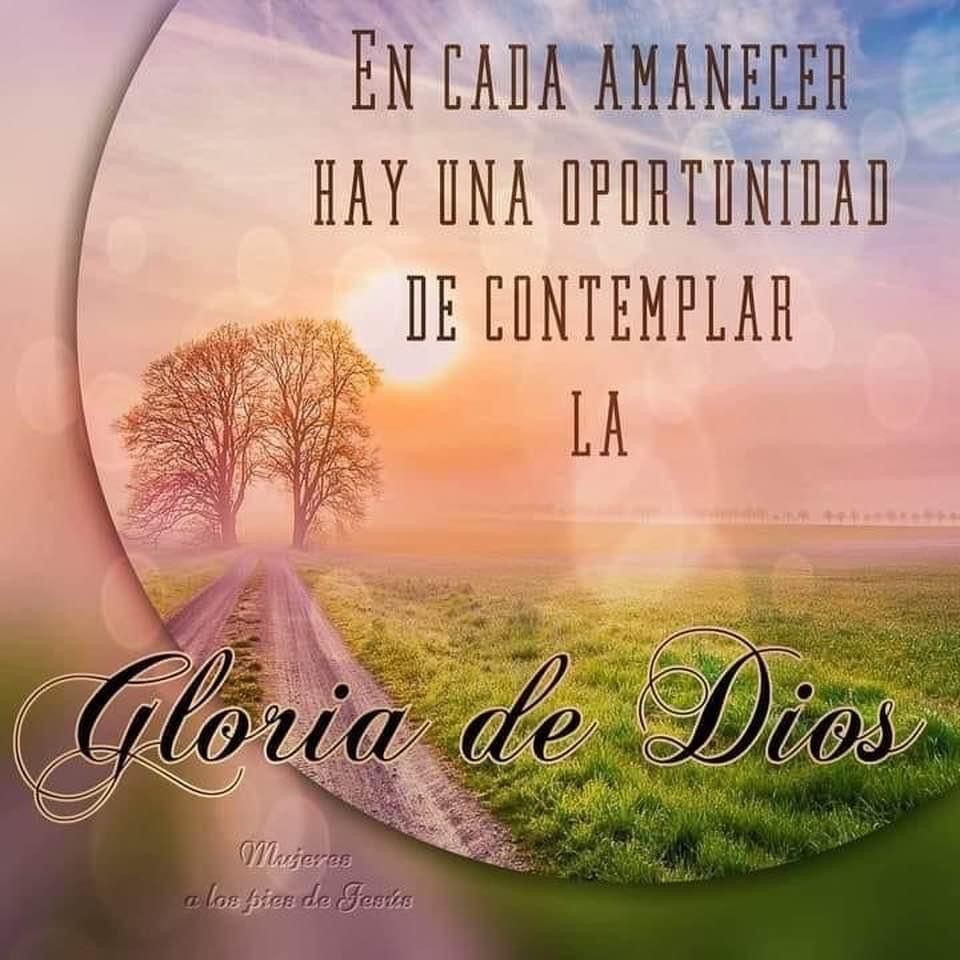 _Zuleikat's tweet image. Los cielos proclaman la gloria de Dios; el firmamento revela la obra de sus manos.
Salmos 19:1 RVC
#FelizInicioDeSemana #buenosdias #lagloriadeDios #palabradevida