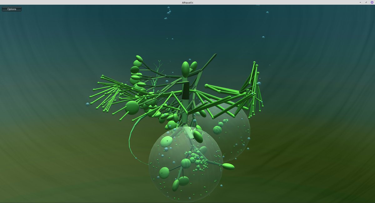 anneveinberg's tweet image. This morning&apos;s underwater world moment. #ARquatic #CodeKlavier #BalkonScenes #June6PinetumHilversum @0felipeignaci0 @cappelnord